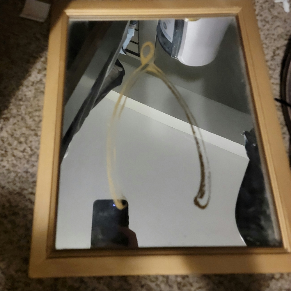 Wishbone art